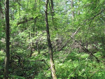 community photo